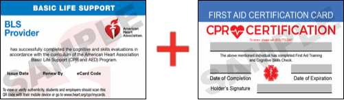 Sample American Heart Association AHA BLS CPR Card Certification and First Aid Certification Card from CPR Certification Tampa