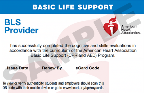 Sample American Heart Association AHA BLS CPR Card Certification from CPR Certification Tampa