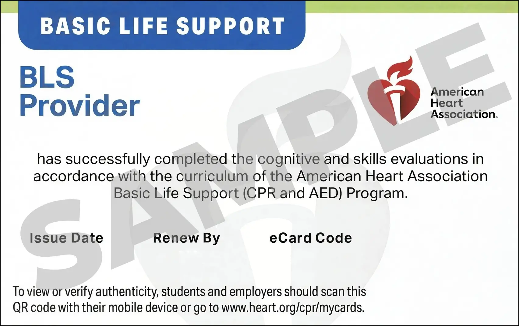 Sample American Heart Association AHA BLS CPR Card Certification from CPR Certification Tampa